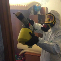 Уничтожение клопов в квартире. Ясенево 